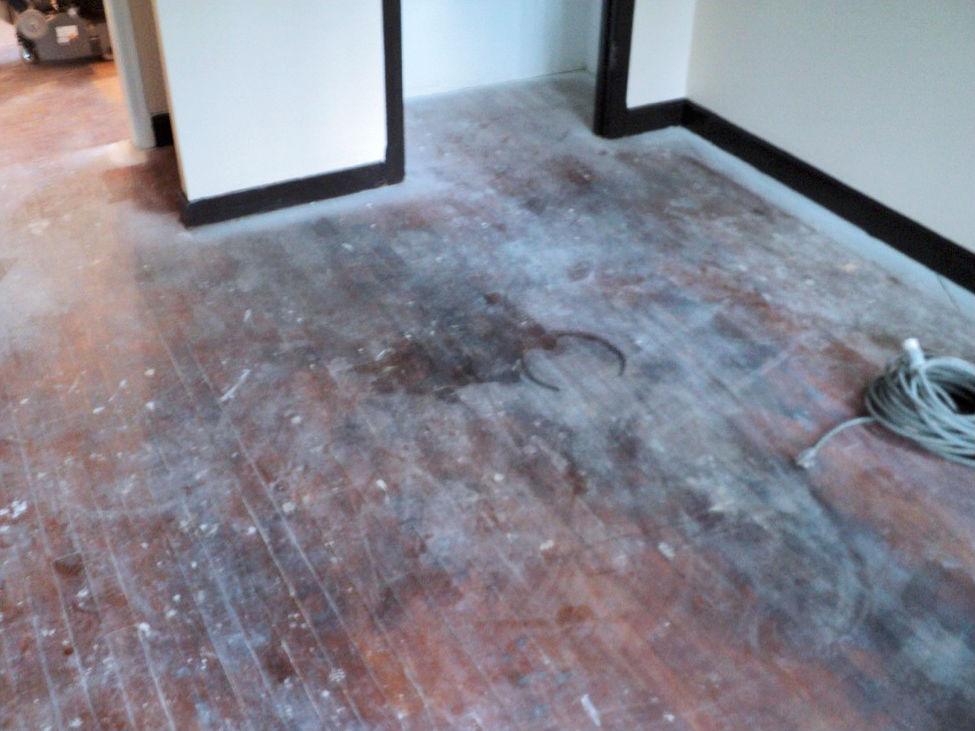 Worn and Abused Hardwood Floor